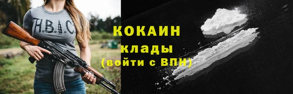 мяу мяу мука Михайловск