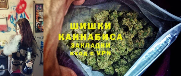 индика Надым