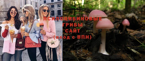 индика Надым